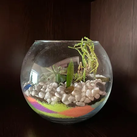 сирена Appartamento *