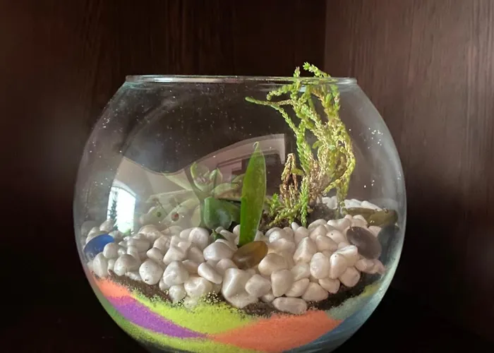 сирена Апартамент *